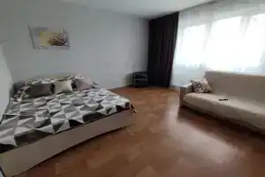 Квартира на партизана Железняка 61, Красноярск