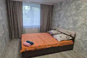 Квартира на Петропавловской, Томск