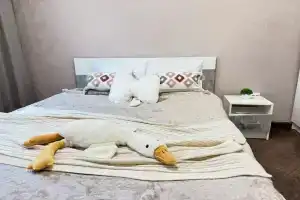 Квартира Animals, Курск