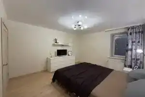 Квартира Уютная однокомнатная квартира на Европейском берегу., Новосибирск