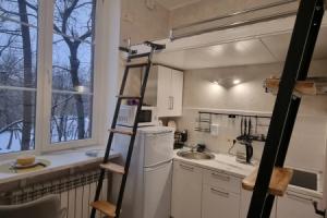 Апартаменты на ВДНХ с видом на Останкинскую башню, Москва