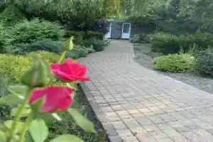 Домик «в Провансе», Рассвет