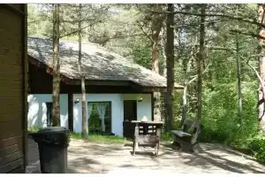 Шале Размещение с одной спальней (2+2), Васильево