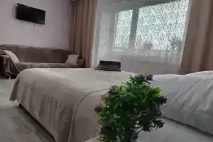 Апартаменты Абакана, Абакан