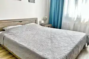Квартира Елена Озерки, Воронеж