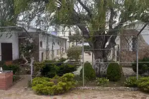 Гостевой дом «Ивушка»