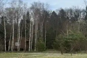 Частный дом Уютный деревянный домик, Степаньково