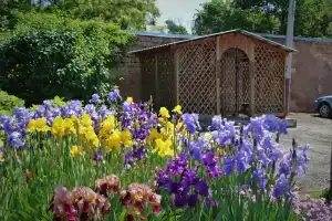 Детская Туристская База, Симферополь