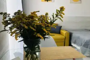Квартира в Пионерском