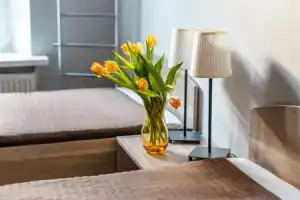 All Dreams Rooms, Санкт-Петербург