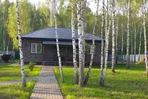 Загородный дом у реки в лесу