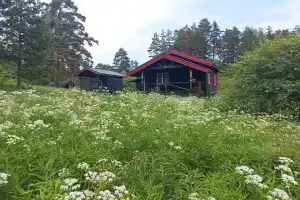 Кемпинг и Гостевой дом в Бухте КИРЛАХТИ