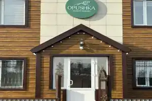 Гостевой дом «Опушка», Боровое