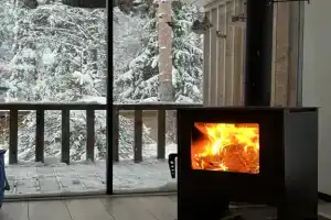Частный дом у озера с террасой Сосновый дом, Орехово