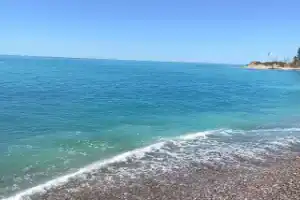 Меблированные комнаты Эллинг Три Дельфина, Волконка