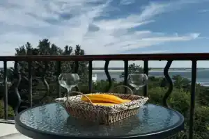 Квартира Однокомнатная С Красивым Видом На Волгу, Волгоград