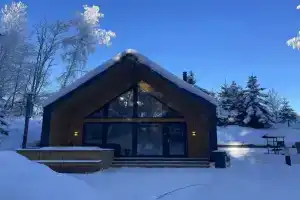 Частный дом барнхаус-4 в живописном посёлке Сосновские горки