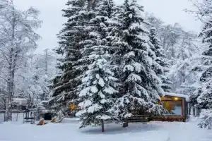 Частный дом Дом у леса с баней и чаном, Всеволожск