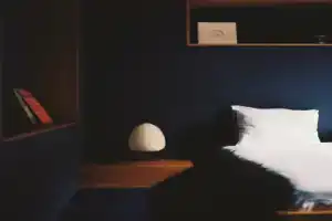 Отель «Blueberry Nights», Тбилиси