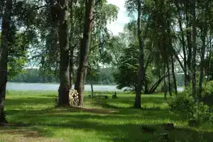 Лесная База «Шишки», Жалыбня
