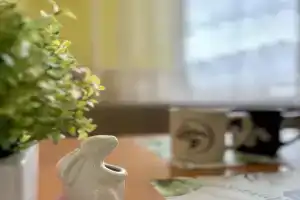 Квартира на Острове, Калининград