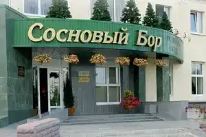 Отель «Сосновый Бор», Сосновый Бор