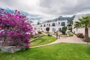 The Olive Tree Hotel, Кирения