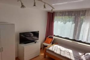 Großes Panorama Apartment, Бинген