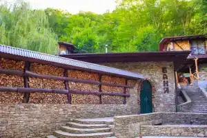 Пансионат Альфа, Бетта