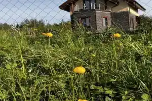 Дом на берегу в Прокопцевской