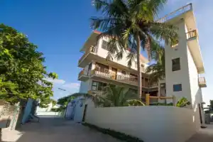 Гостевой дом «Tropic Tree Maldives», Остров Маафуши