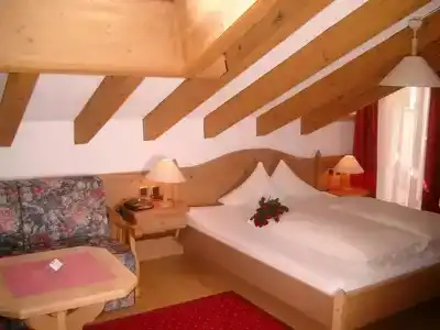 Camona & Apart Walserhof - 3