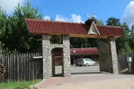 Белый аист - 2