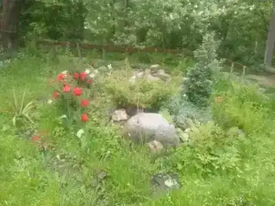 Карпатський рай - 1