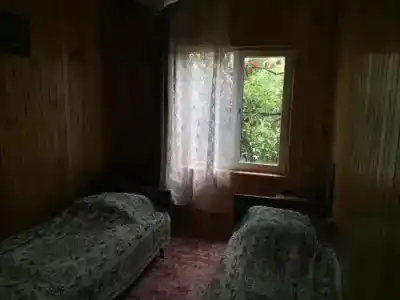 Грушевый дом - 8