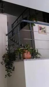 Centrale Guesthouse - 2