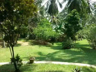 Rocky Point Beach Bungalows - 2