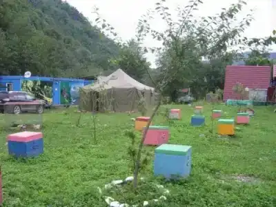 Отдых на Пасеке - 8