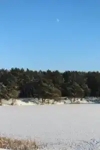 Тарусичи - 8