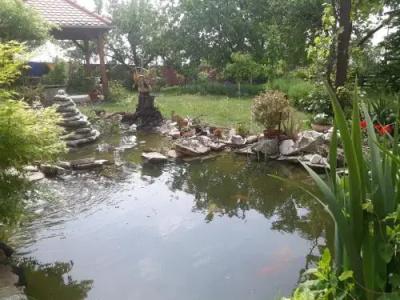 Pension Zelený strom - 0