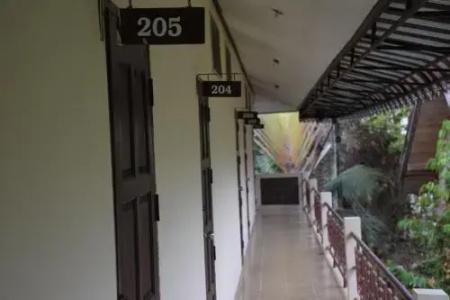 Timeless Hostel - 0