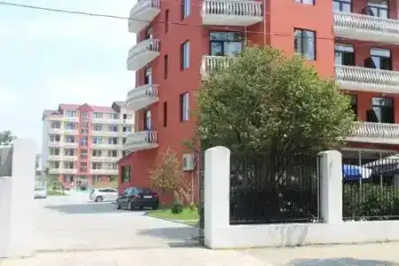 Kiparisi - 0
