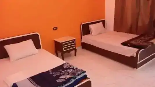 Octopus - 1