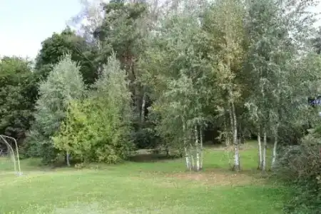 Белый аист - 6