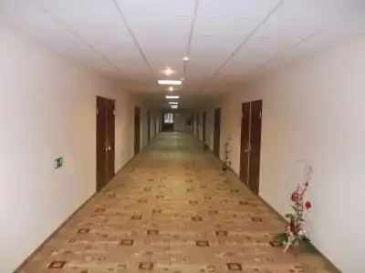 Фиалка - 3