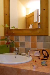 LE HAMEAU DE LA SAPINIERE - 7