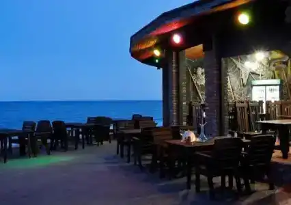 Диодон - 37