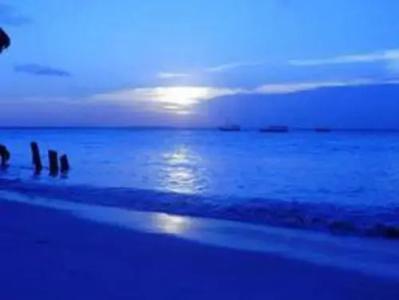 GOasis Zanzibar - 4