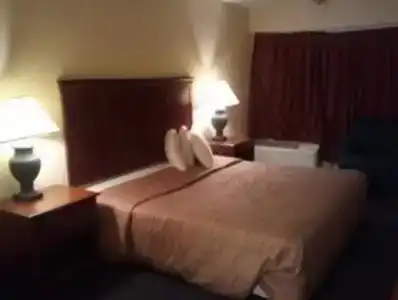 Delta Inn - 1