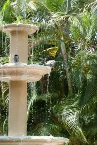 The Grand Resort And Spa - All Male Spa Resort - 24